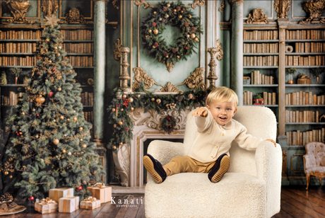 Noël  Fond photo Swandrops