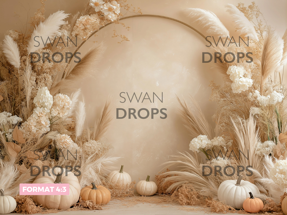 Fond photo Lune d’Amande Swan Drops