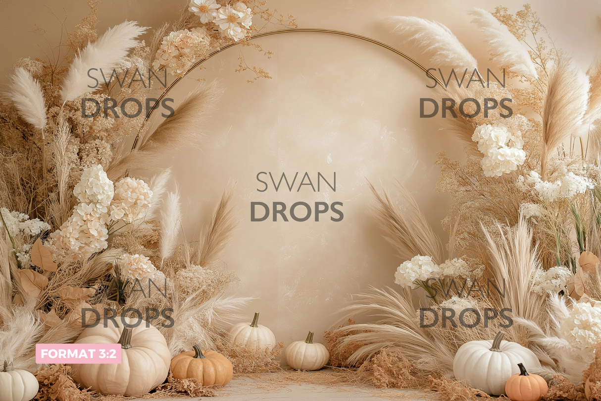 Fond photo Lune d’Amande Swan Drops