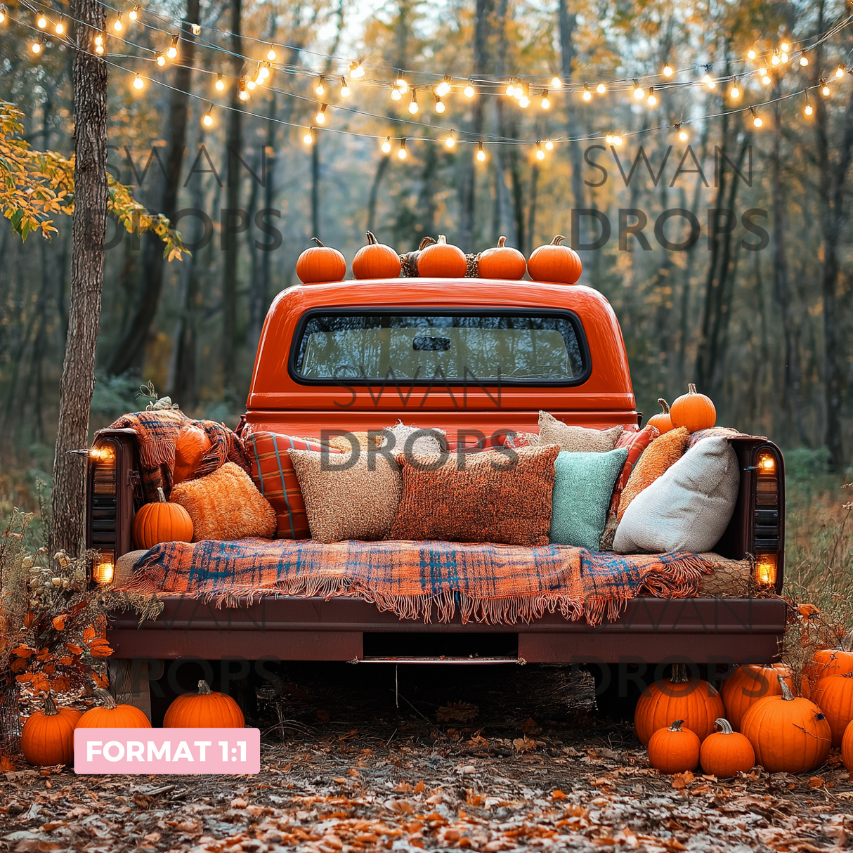 Fond photo Pumpkin Truck Swan Drops