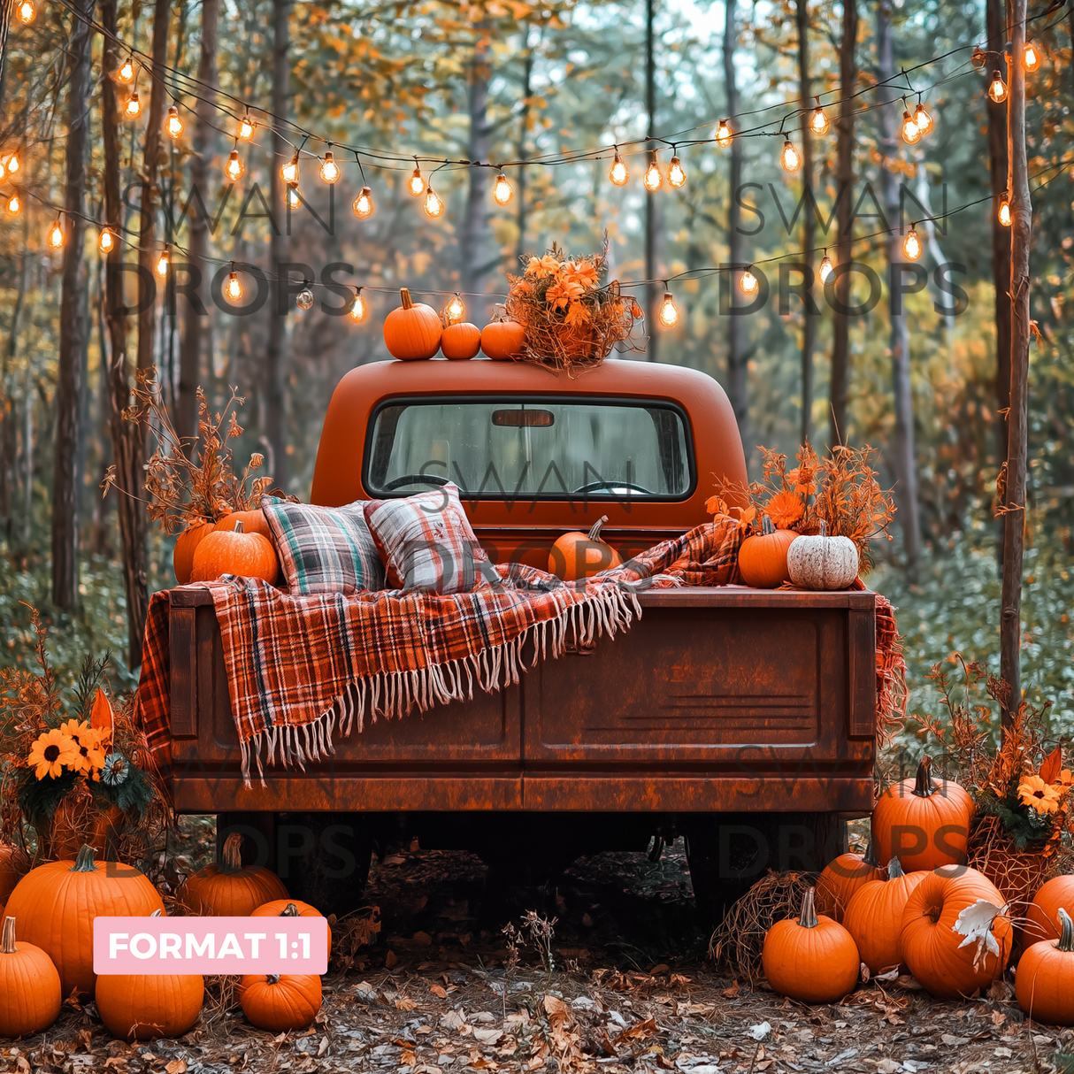 Fond photo Feuilles & Carrosserie Swan Drops