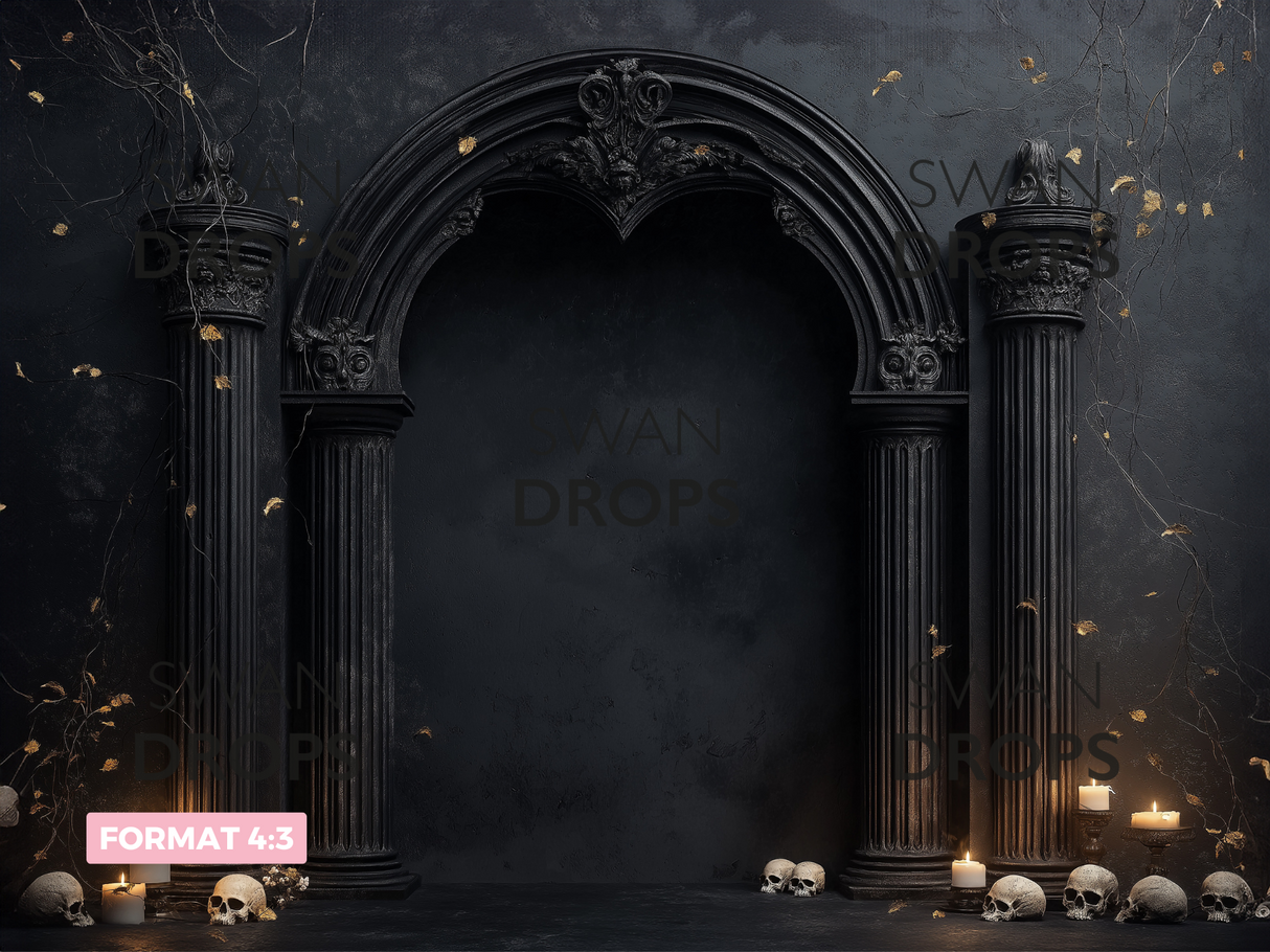 Fond photo Le Portail des Ombres Swan Drops