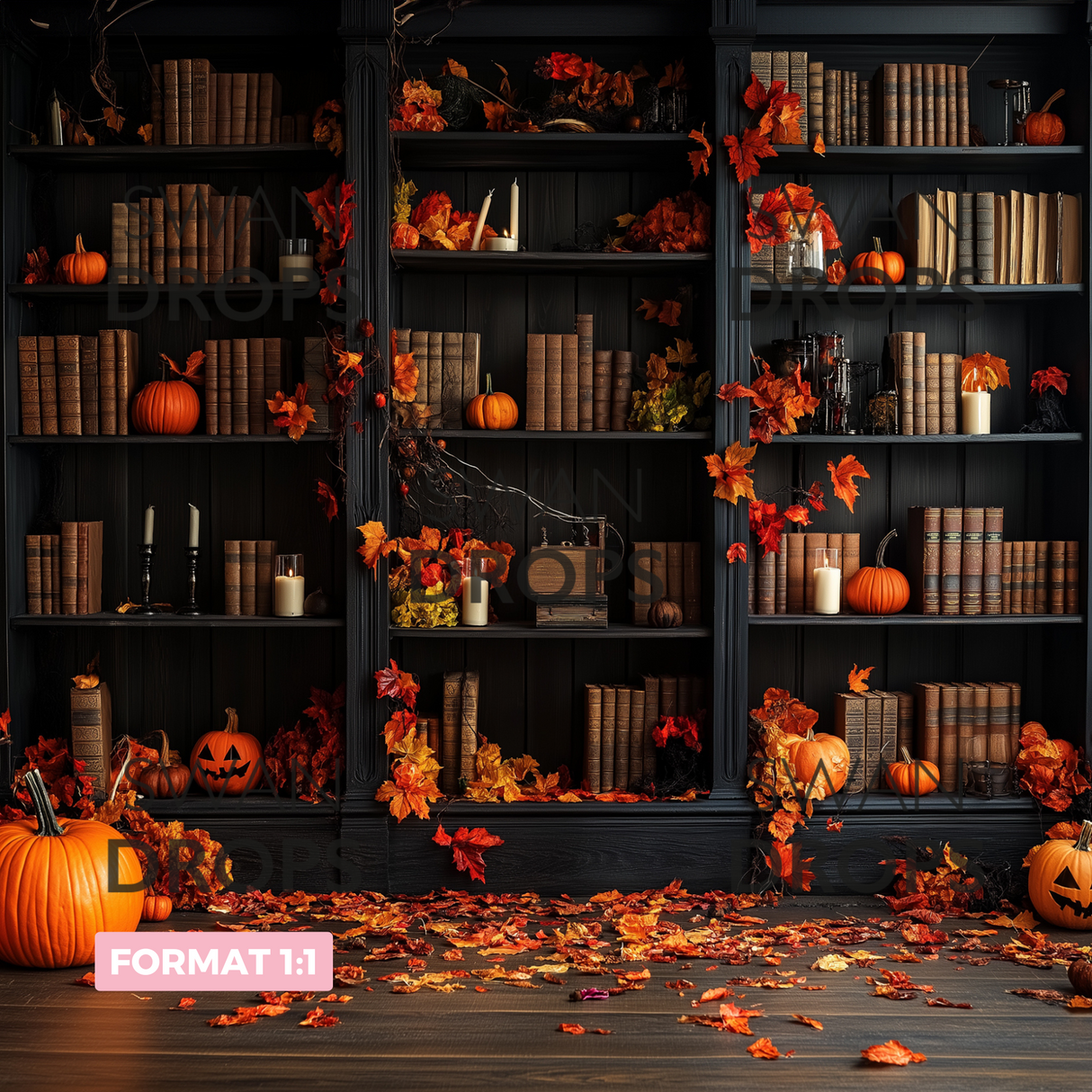 Fond photo Cérémonie Nocturne Swan Drops