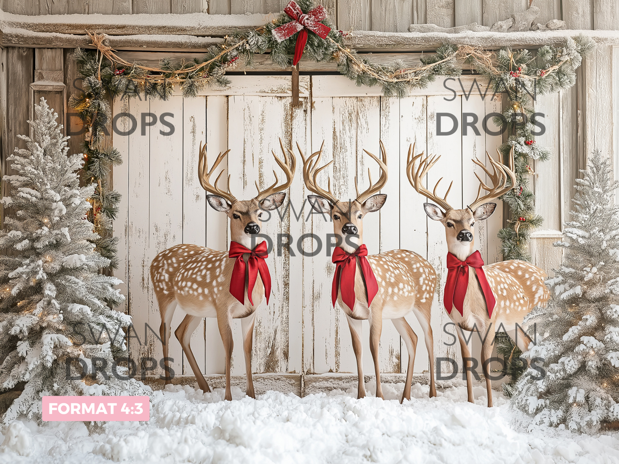 Fond photo Grange enchantée Swan Drops