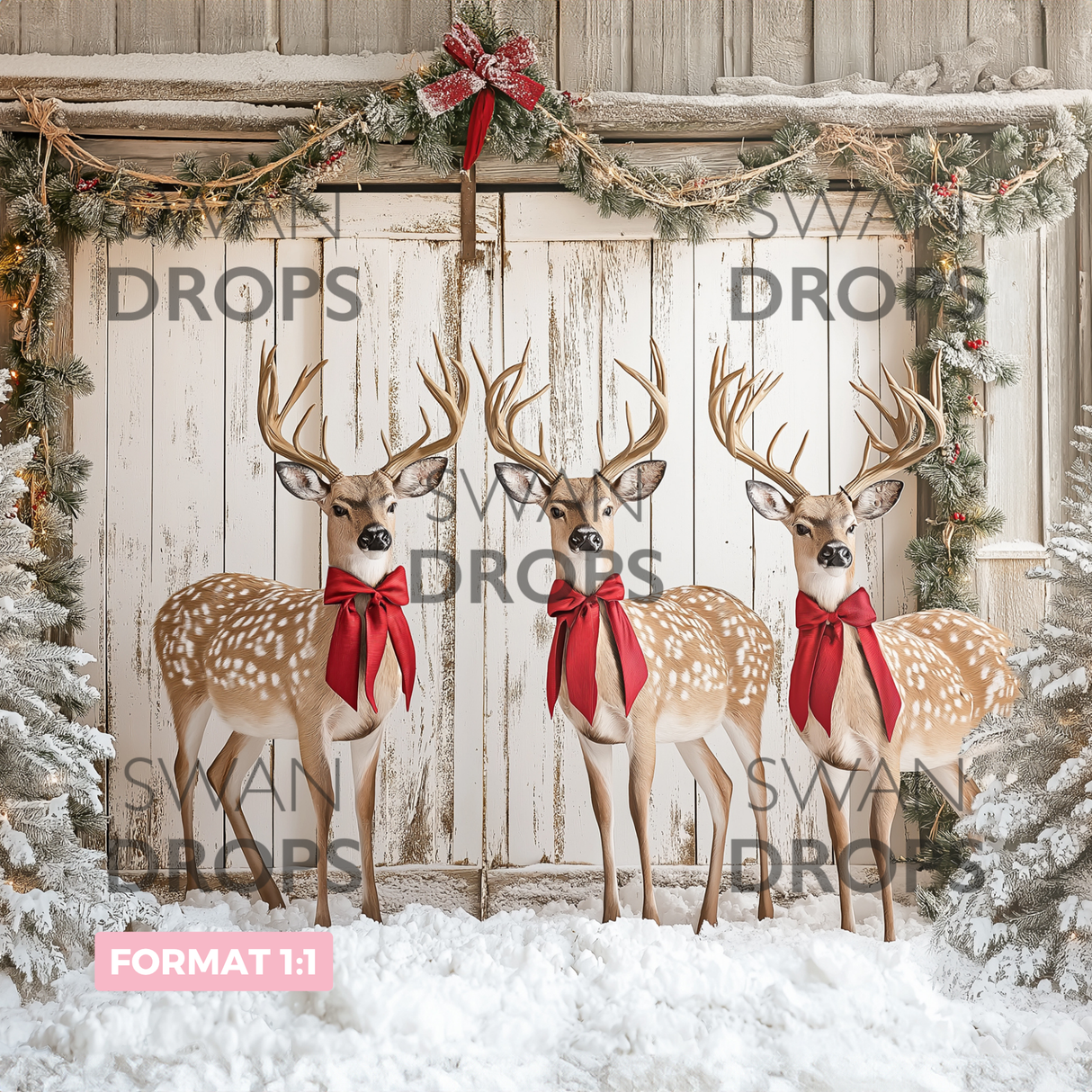 Fond photo Grange enchantée Swan Drops