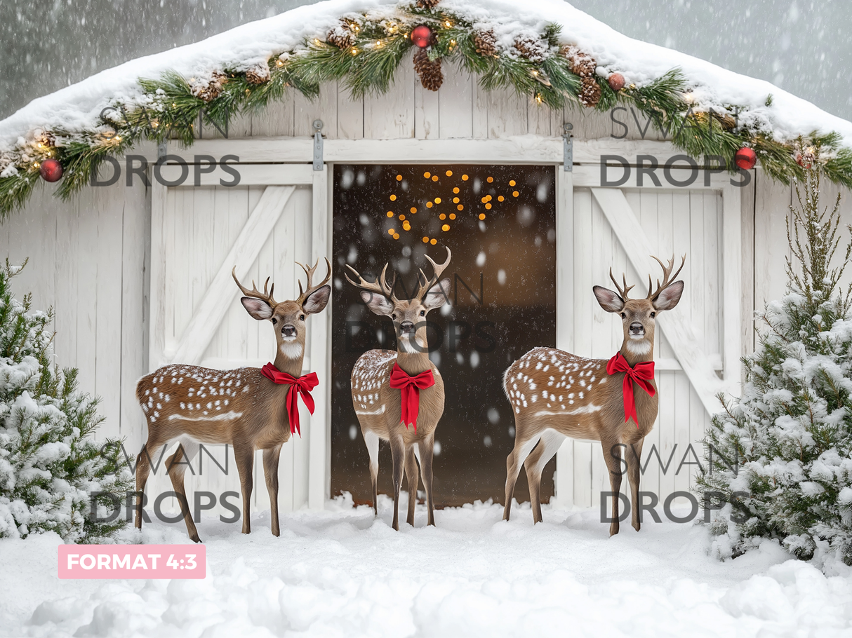 Fond photo Les invités du Père Noël Swan Drops