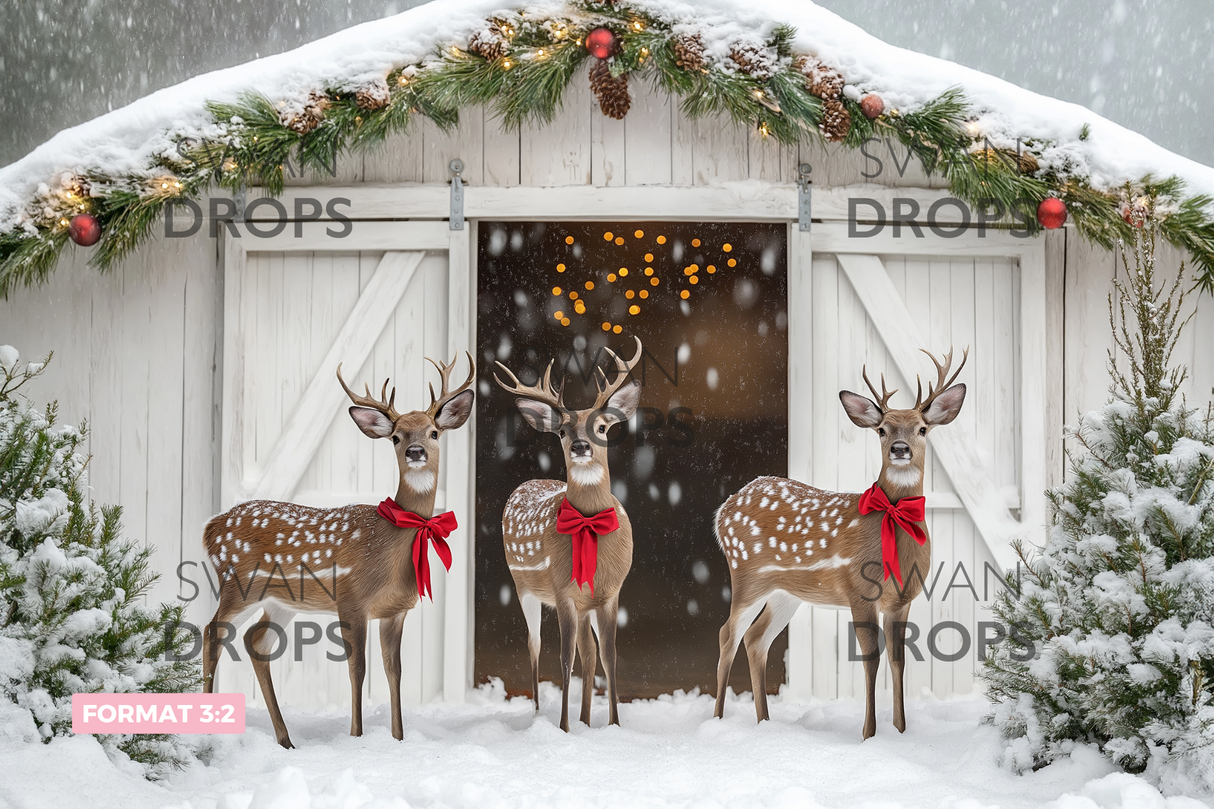 Fond photo Les invités du Père Noël Swan Drops