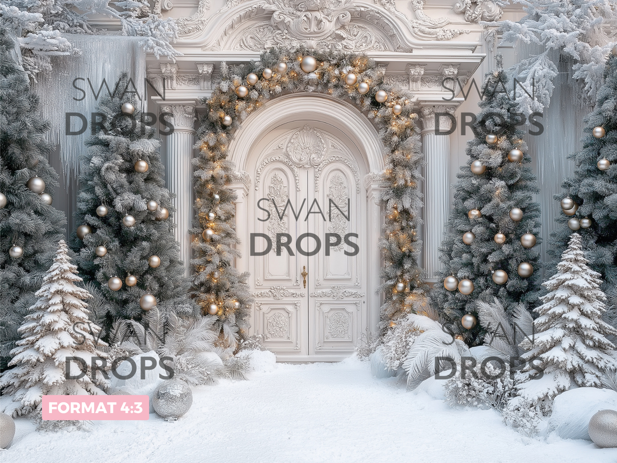 Fond photo Entrée givrée Swan Drops