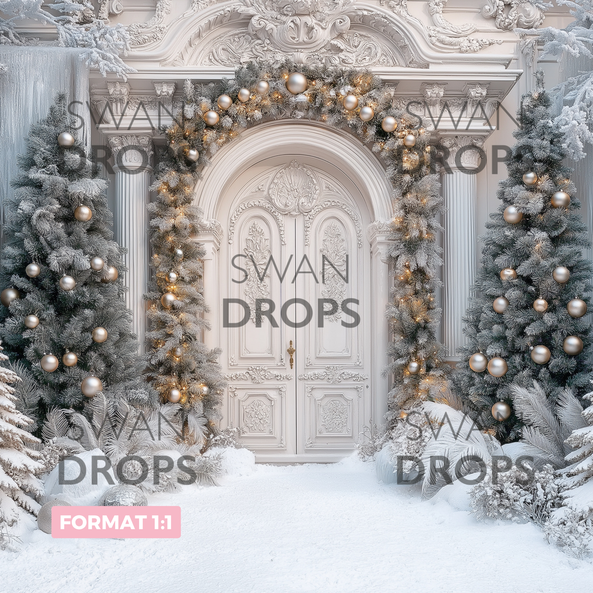 Fond photo Entrée givrée Swan Drops