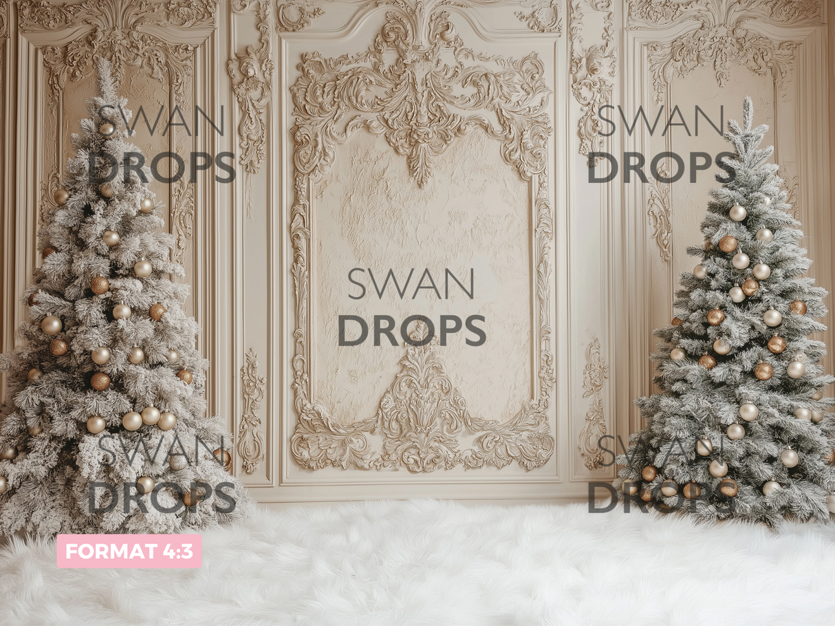 Fond photo Duo givré Swan Drops