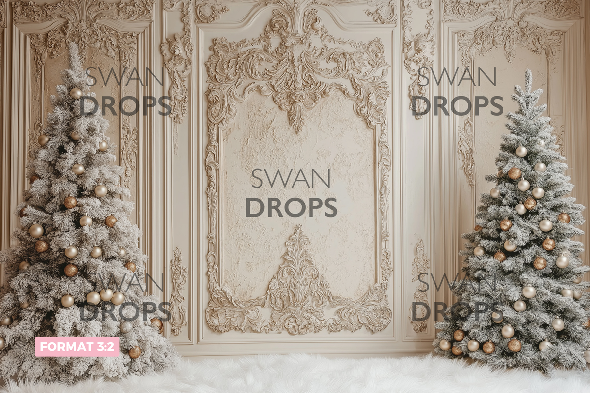 Fond photo Duo givré Swan Drops