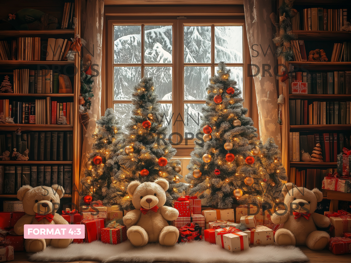 Fond photo Bibliothèque enchantée Swan Drops