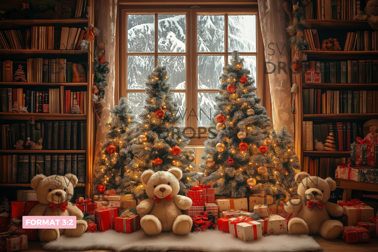 Fond photo Bibliothèque enchantée Swan Drops