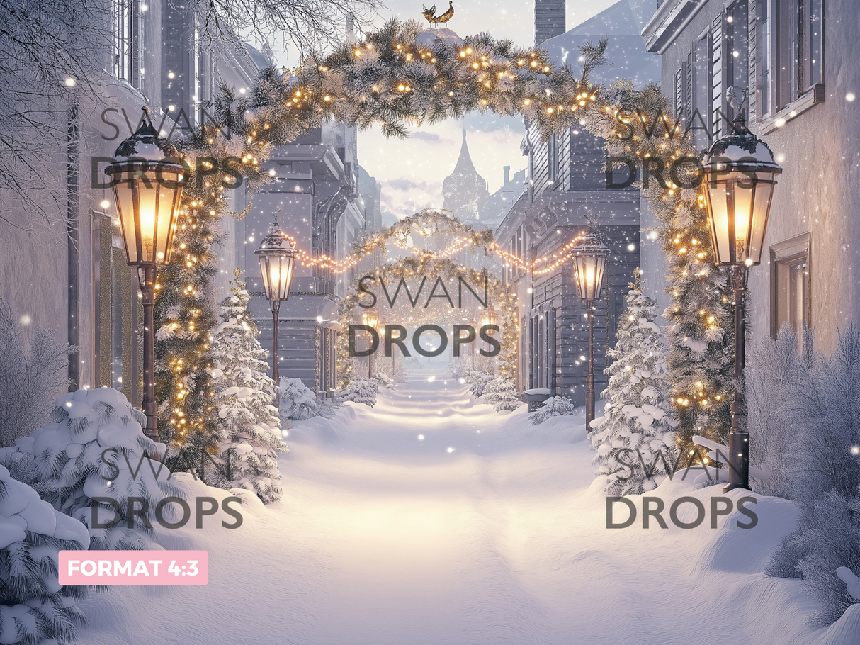 Fond photo Rue des lumières Swan Drops