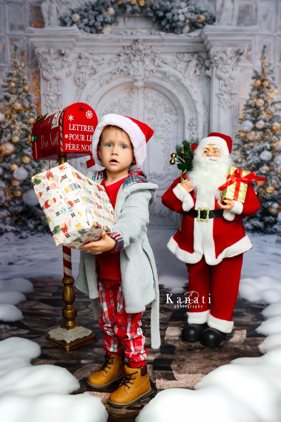 Fond photo Palais d’Hiver Swan Drops