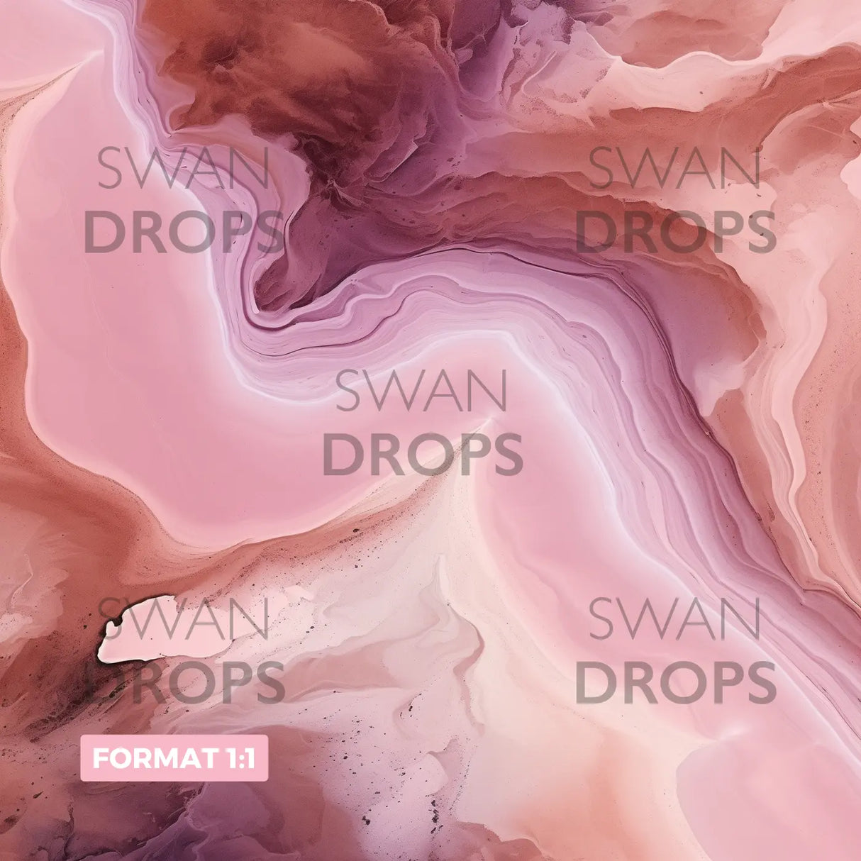 Fond photo Ballet Aérien Swan Drops