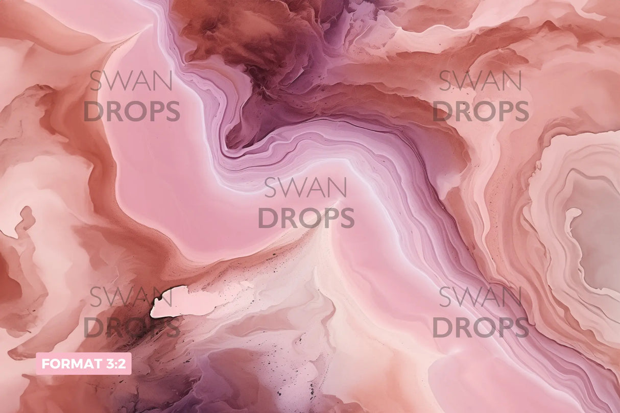 Fond photo Ballet Aérien Swan Drops