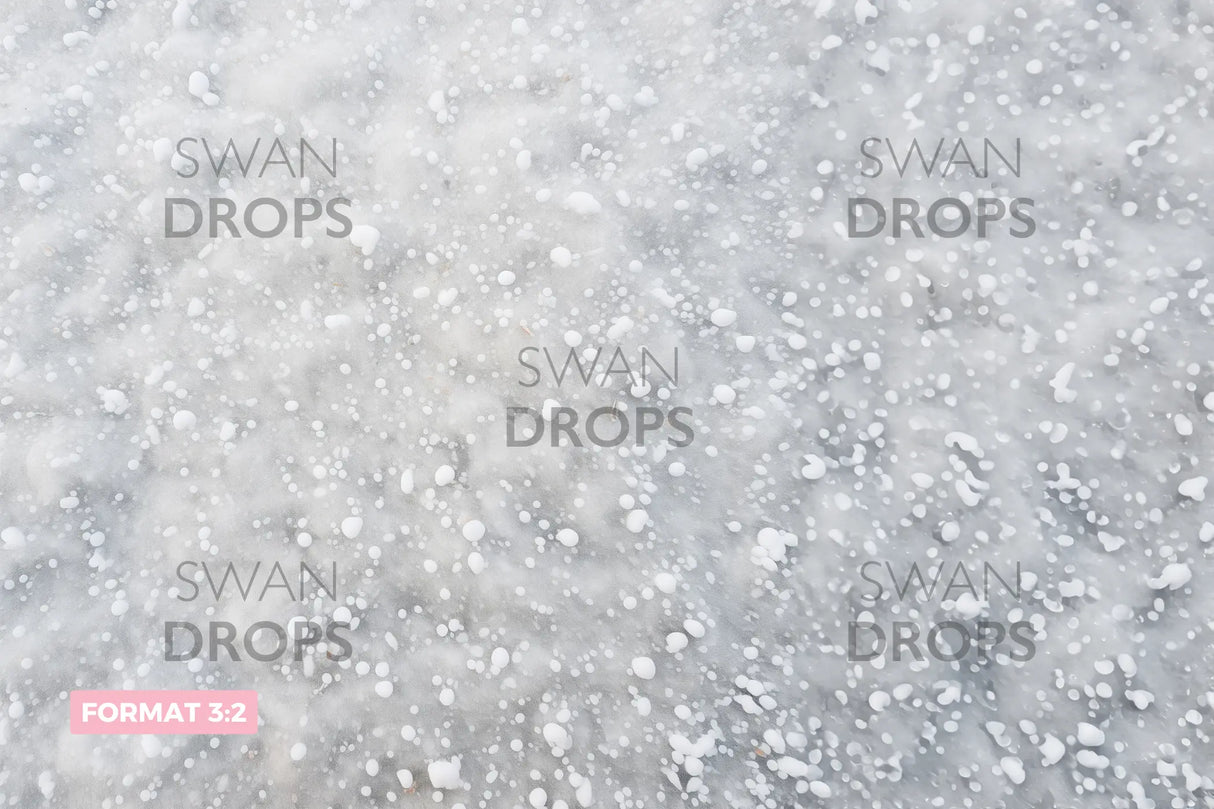 Fond photo Ballet Hivernal Swan Drops