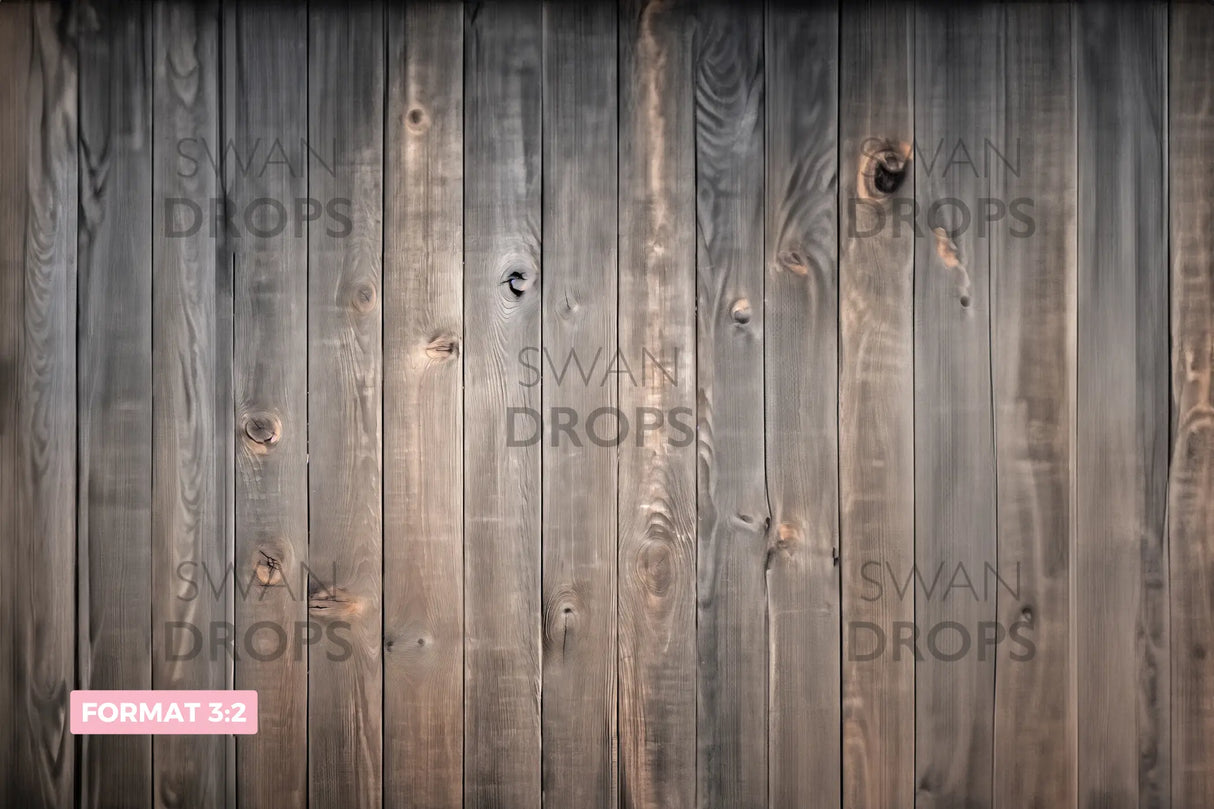 Fond photo Cendres Matinales Swan Drops