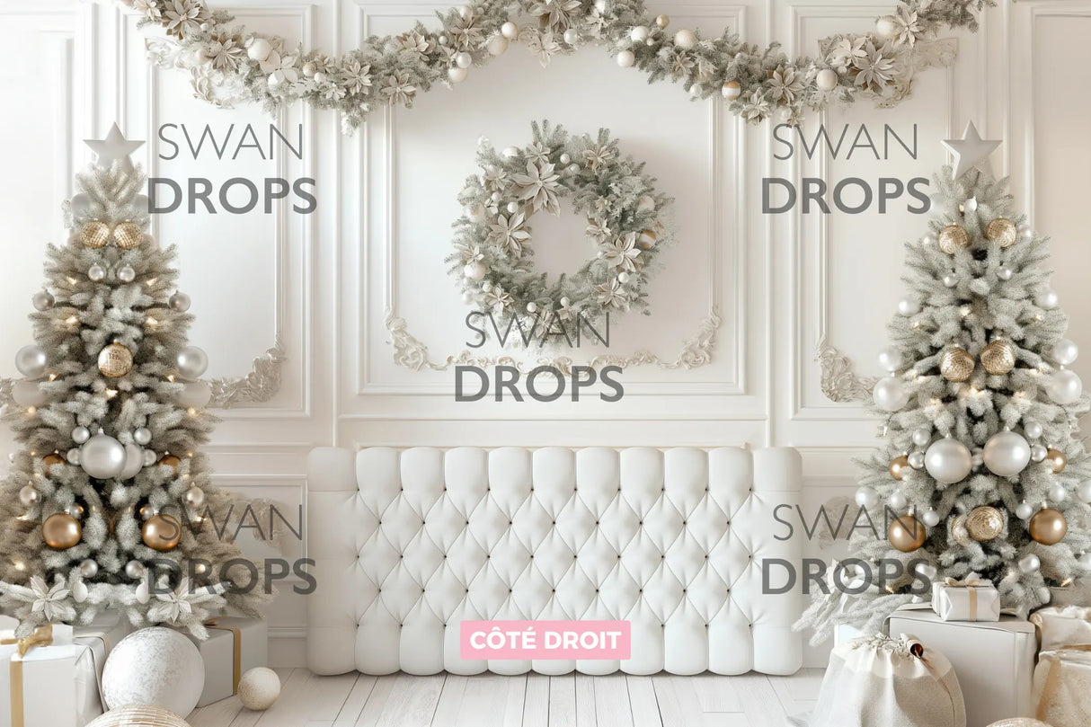 Fond photo Éclat Hivernal Swan Drops