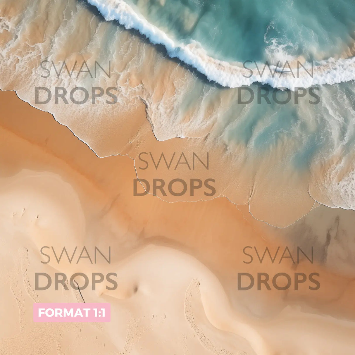 Fond photo L'Écume des Jours Swan Drops