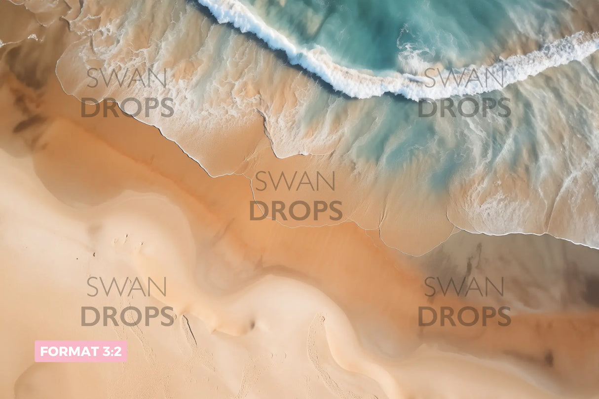 Fond photo L'Écume des Jours Swan Drops