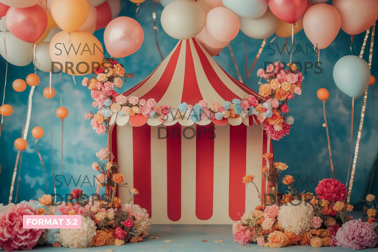 Fond photo Rêve de Chapiteau Swan Drops