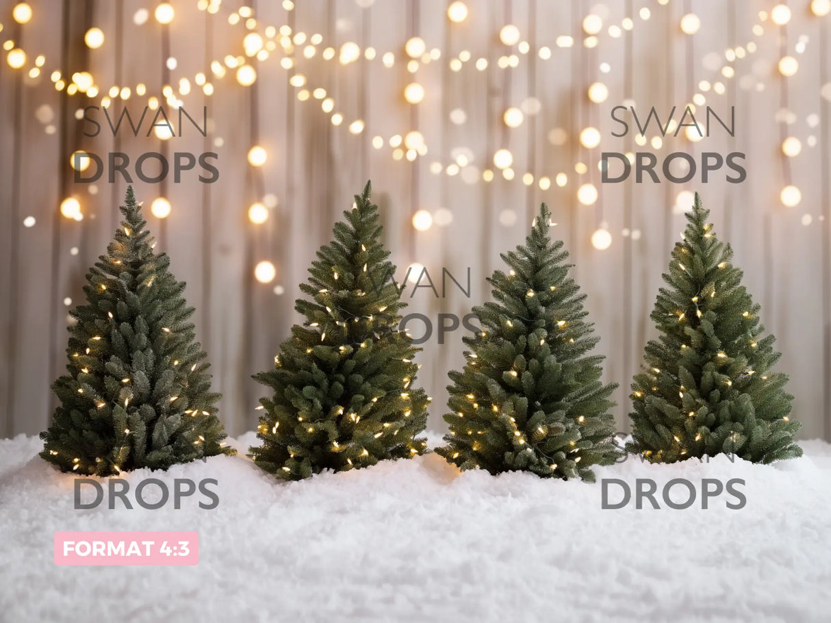 Fond photo Sapins Illuminés Swan Drops