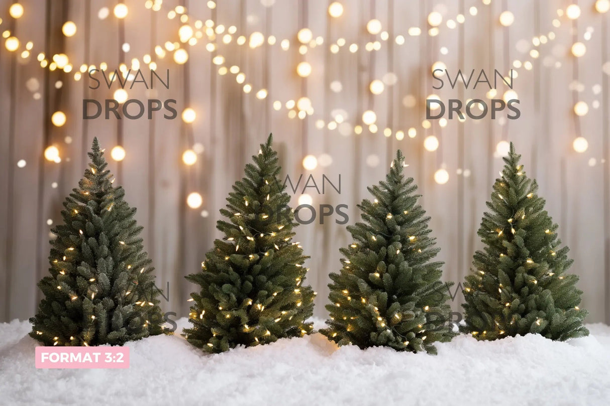 Fond photo Sapins Illuminés Swan Drops