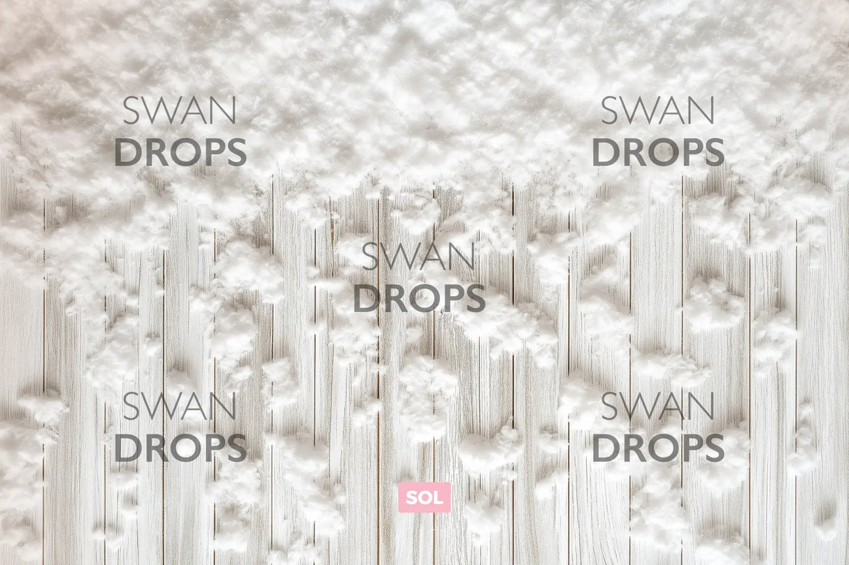 Fond photo Veillée enchantée Swan Drops