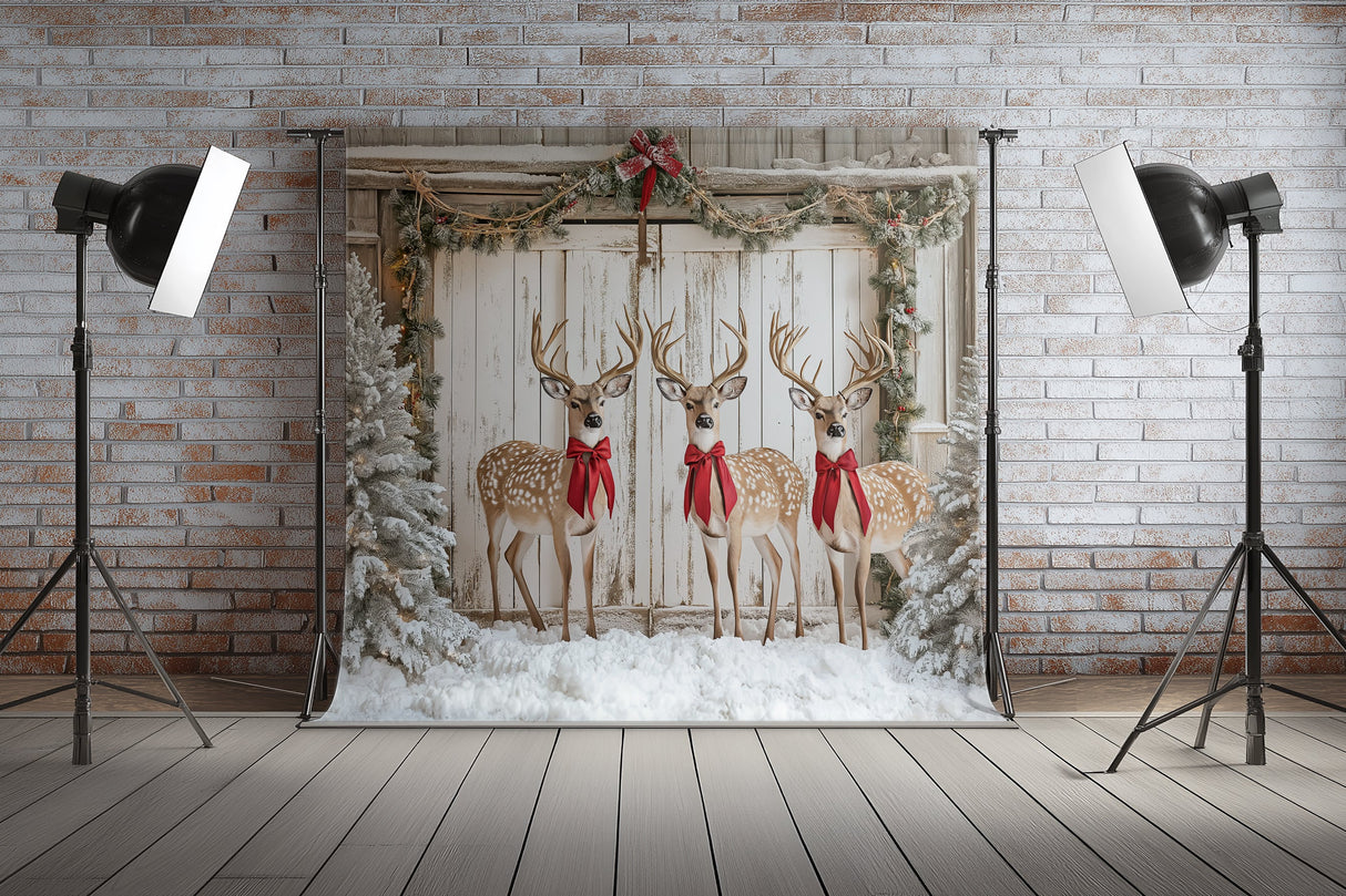 Fond photo Grange enchantée Swan Drops