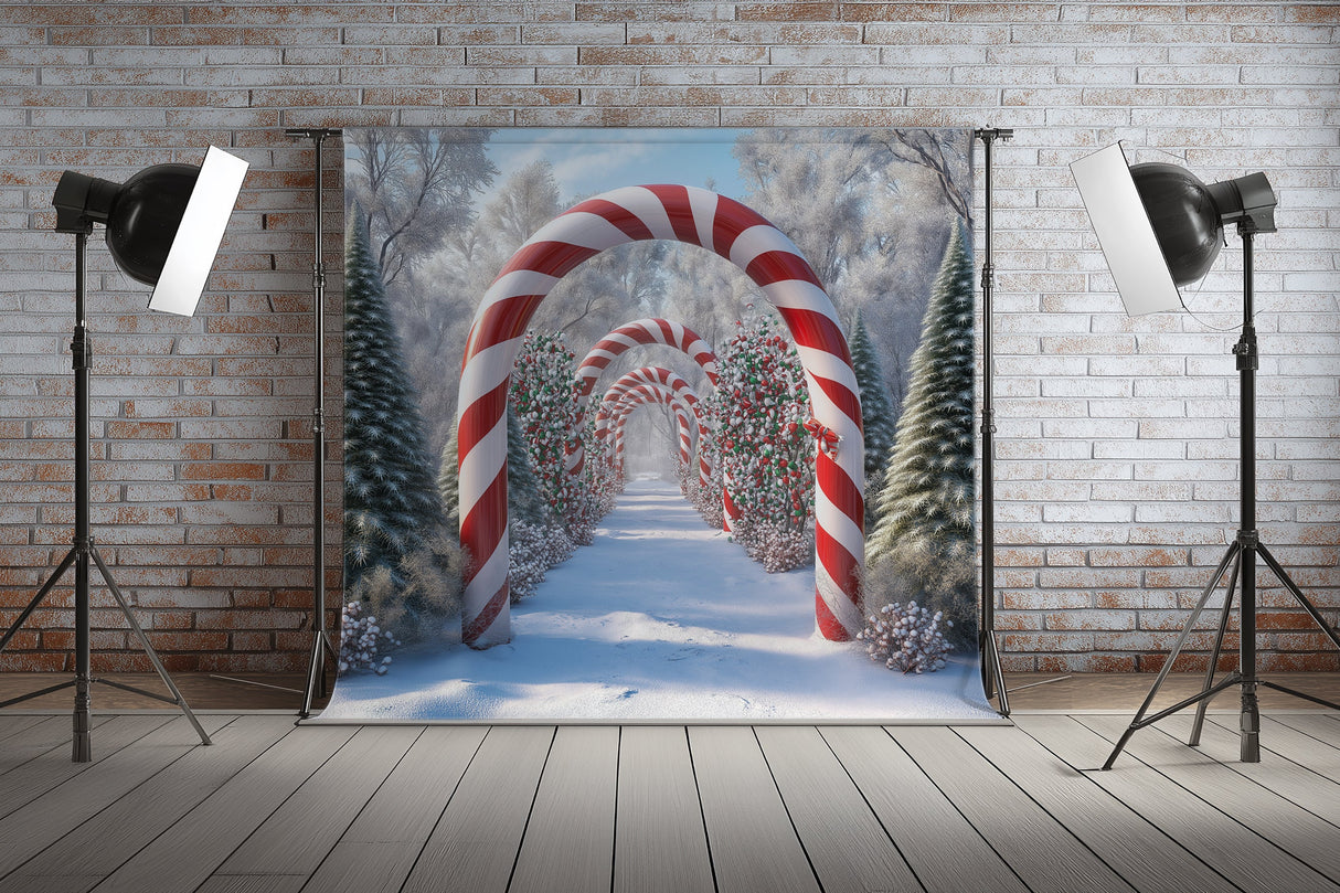 Fond photo Atelier du Père Noël Swan Drops