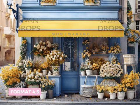 Rêves de Montmartre