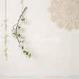 Fond photo Minimaliste dentelle unique branche de la collection Printemps Champêtre 2026 - crème épuré, napperon, branche pommier - séance grossesse intimiste