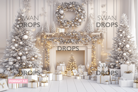 Fond photo Éclats d’hiver Swan Drops