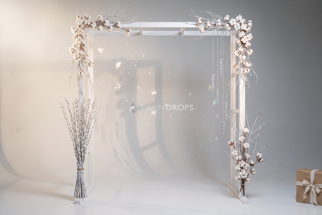 Fond photo Ossature blanche de la collection Arches Noël 2026 - blanc pur, coton brut, branches givrées - portrait Noël graphique contemporain