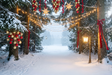 Fond photo Passage des étoiles de la collection Noël 2026 extérieur - guirlandes en arcs, brume bleutée - séance famille Noël