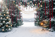 Fond photo Horizon givré de la collection Noël 2026 extérieur - conifères enneigés, horizon bleuté - séance portrait enfant Noël