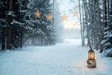 Fond photo Lisière enchantée de la collection Noël 2026 extérieur - lisière ouverte, contre-jour hivernal, étoiles en arc doré - séance famille lifestyle