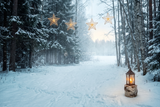 Fond photo Lisière enchantée de la collection Noël 2026 extérieur - lisière ouverte, contre-jour hivernal, étoiles en arc doré - séance famille lifestyle