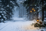 Fond photo Sentier de lumière de la collection Noël 2026 extérieur - allée forestière, étoiles dorées, brume bleu-gris - séance famille lifestyle