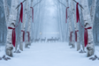 Fond photo Bouleau et brume de la collection Noël 2026 extérieur - bouleaux, brume, tons glace - séance nouveau-né Noël