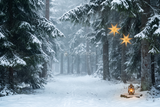 Fond photo Souffle des conifères de la collection Noël 2026 extérieur - conifères, brume profonde, étoiles dorées - séance famille coordonnée