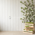 Fond photo Verger cagettes droite branches denses de la collection Printemps Champêtre 2026 - bois blanchi, branches denses, mousse - séance nouveau-né wrap