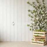 Fond photo Verger cagettes droite branches denses de la collection Printemps Champêtre 2026 - bois blanchi, branches denses, mousse - séance nouveau-né wrap