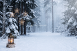 Fond photo Murmure d'étoile de la collection Noël 2026 extérieur - clairière asymétrique, étoiles laiton, brume bleutée - séance grossesse lifestyle
