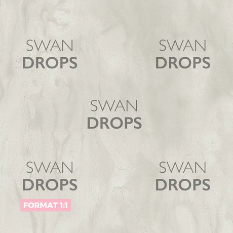 Fond photo Ciment Gris Clair Swan Drops