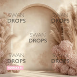 Fond photo Douceur Pampas Swan Drops