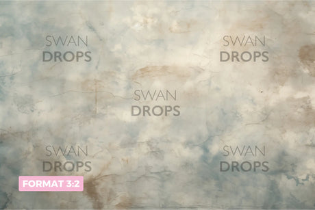 Fond photo Ethereal Canvas Swan Drops