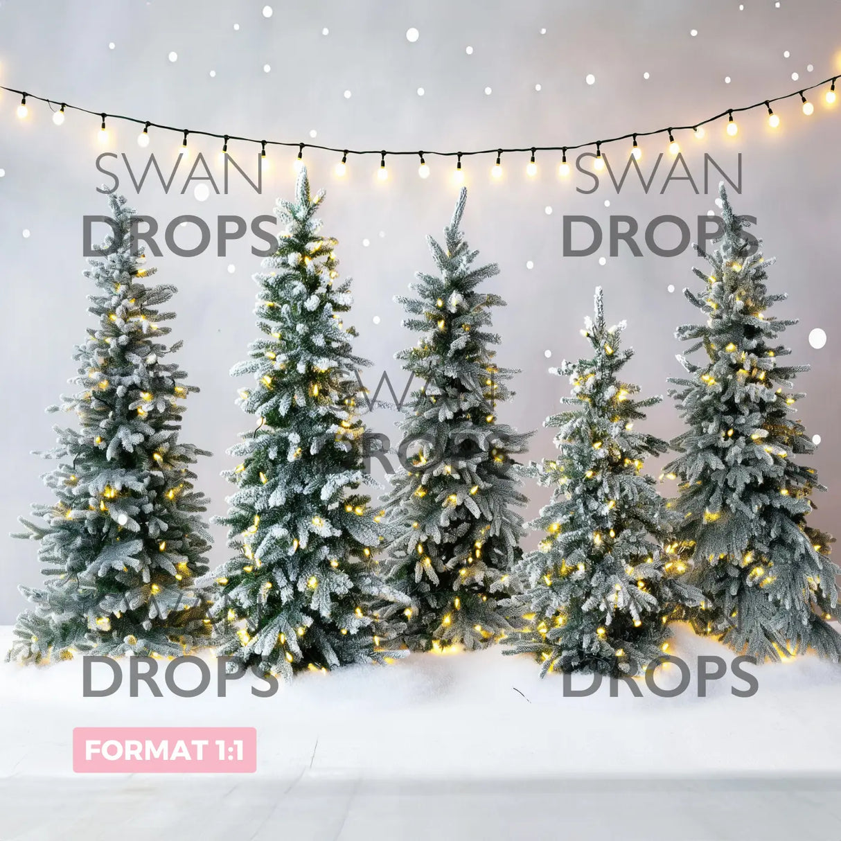 Fond photo Sapins Étincelants Swan Drops